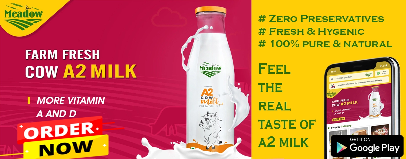 A2 cow milk