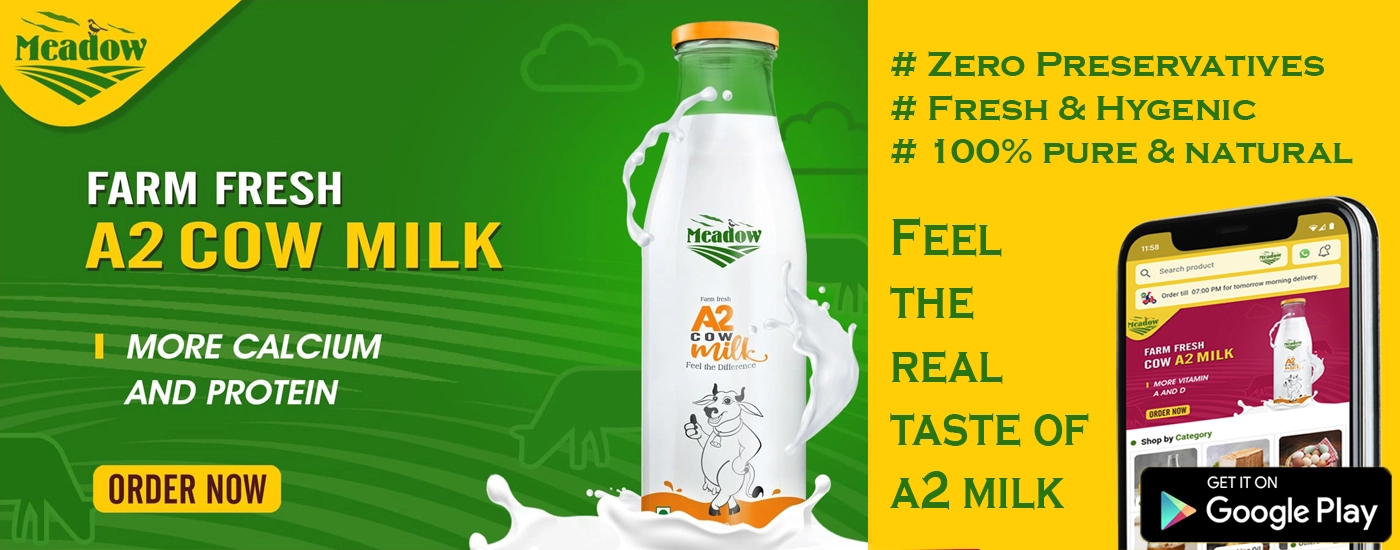 A2 cow milk