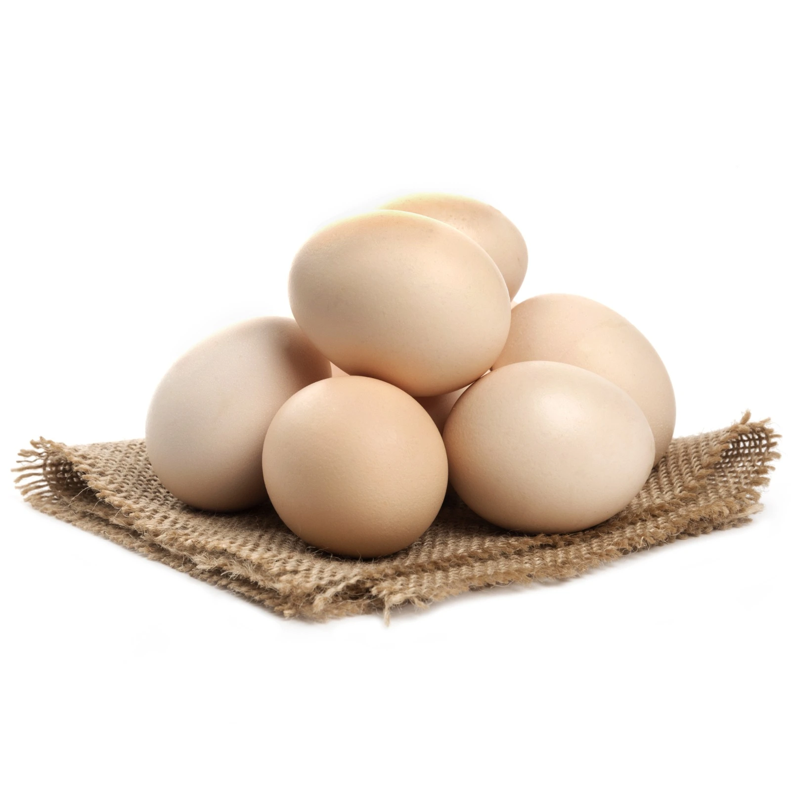 Egg